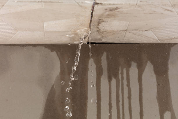 Professional Structural Drying technician working in Mingus, TX